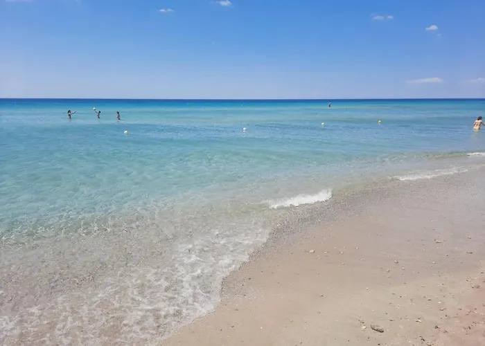 Ammare بيت للعطل *